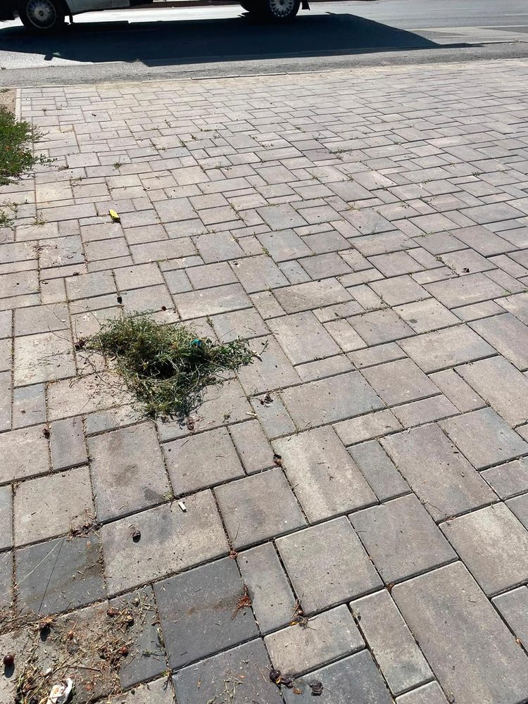 Alee pavată din perimetrul unei clădiri, cu vegetație crescută între dale, înainte de curățare