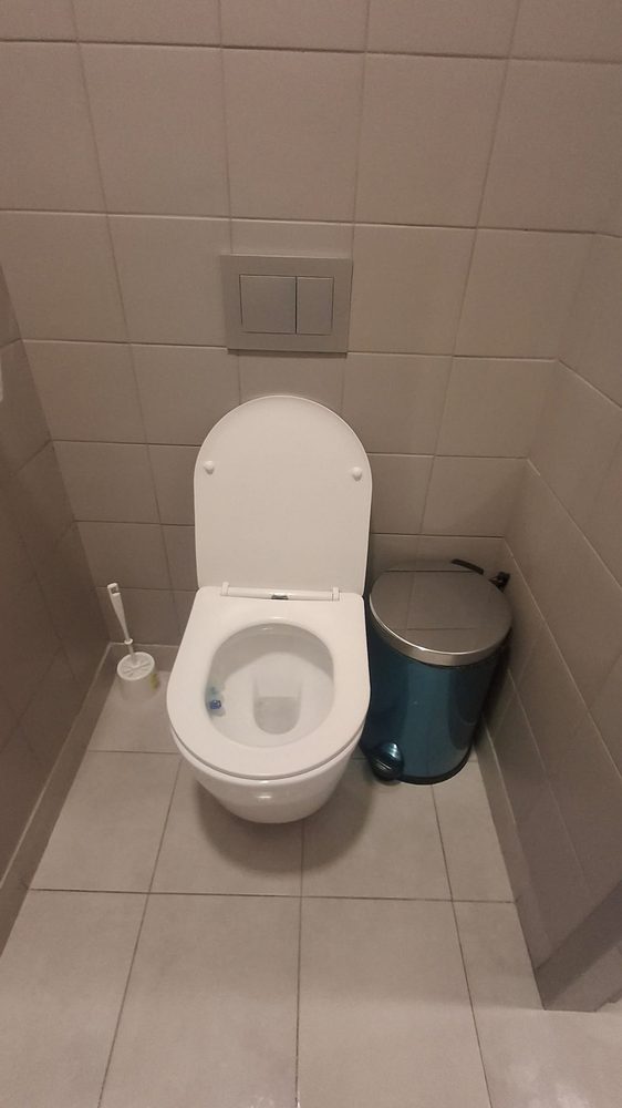Vas de toaletă și suprafețe adiacente, după igienizare cu produse profesionale